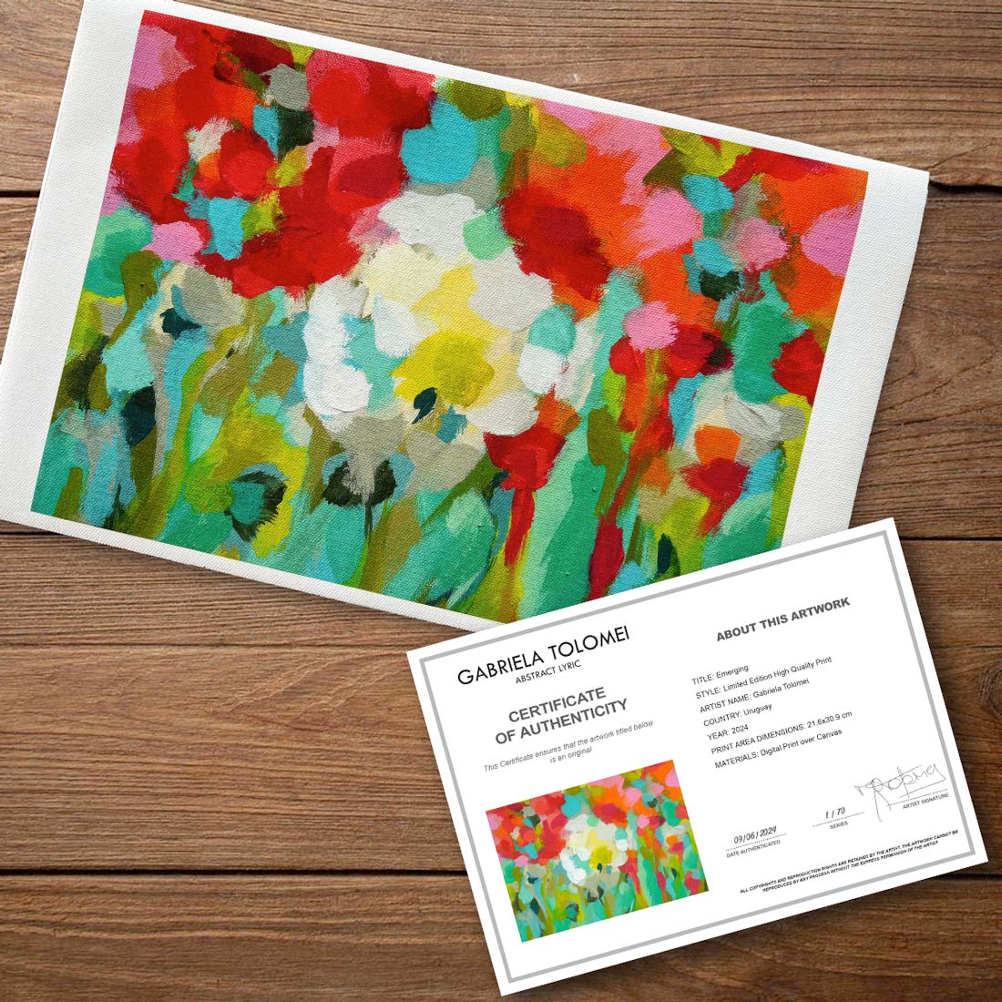 Prints-canvas-limit-edition-Abstract-Art-Buy-Emerging-Contemporary-Saatchiart-Saatchi -Gabriela-Tolomei-Emerging-Print-Canvas-Certificate