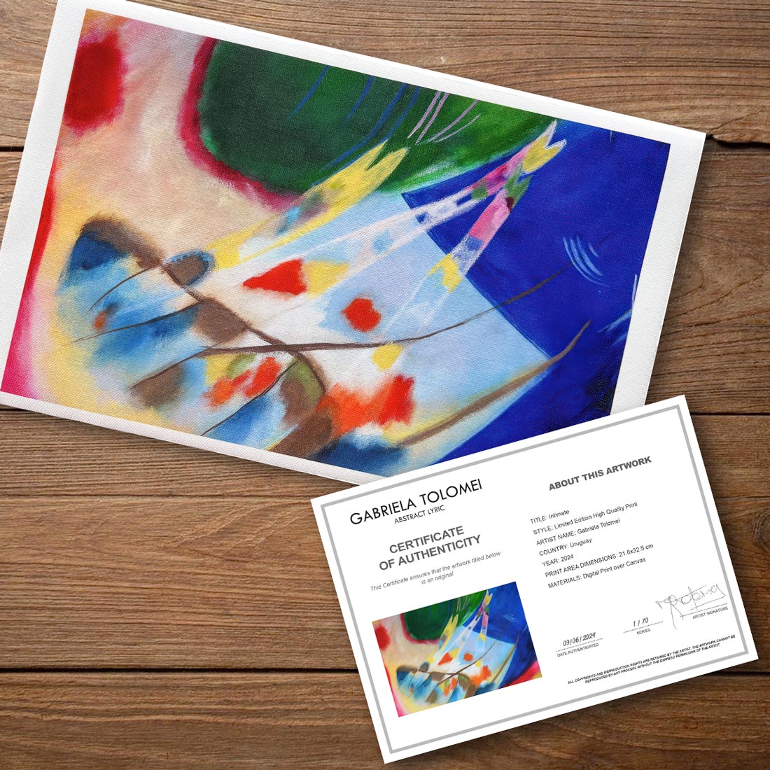 Prints-canvas-limit-edition-Abstract-Art-Buy-Emerging-Contemporary-Saatchiart-Saatchi -Gabriela-Tolomei-Intimate-Print-Canvas-Certificate